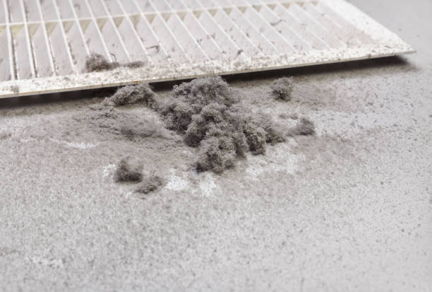 Best Air Vent Cleaning Services  in Rockford, IL