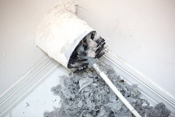 Best Dryer Vent Cleaning Services  in Rockford, IL